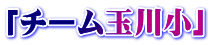 「チーム玉川小」